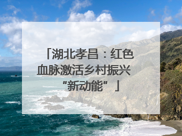 湖北孝昌：红色血脉激活乡村振兴“新动能”