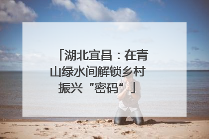 湖北宜昌：在青山绿水间解锁乡村振兴“密码”