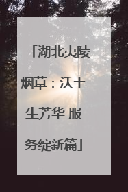 湖北夷陵烟草：沃土生芳华 服务绽新篇