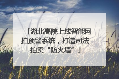 湖北高院上线智能网拍预警系统，打造司法拍卖“防火墙”