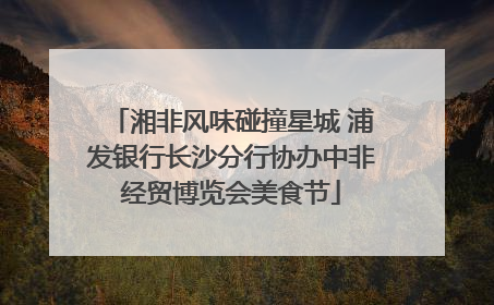 湘非风味碰撞星城 浦发银行长沙分行协办中非经贸博览会美食节