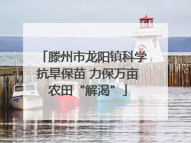 滕州市龙阳镇科学抗旱保苗 力保万亩农田“解渴”