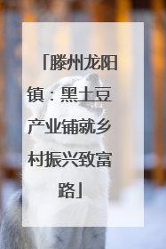 滕州龙阳镇：黑土豆产业铺就乡村振兴致富路