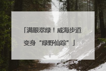 满眼翠绿！威海步道变身“绿野仙踪”