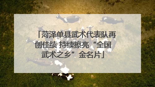 菏泽单县武术代表队再创佳绩 持续擦亮“全国武术之乡”金名片