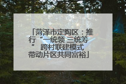 菏泽市定陶区：推行“一统领 三统筹” 跨村联建模式 带动片区共同富裕