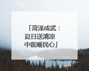 菏泽成武：夏日送清凉 中医暖民心