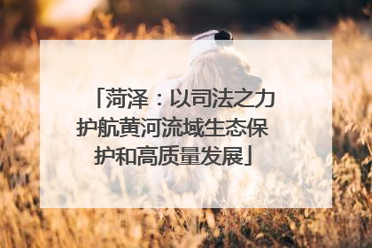菏泽：以司法之力护航黄河流域生态保护和高质量发展