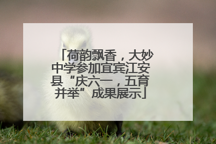 荷韵飘香，大妙中学参加宜宾江安县“庆六一，五育并举”成果展示