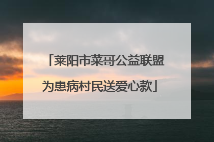 莱阳市菜哥公益联盟为患病村民送爱心款