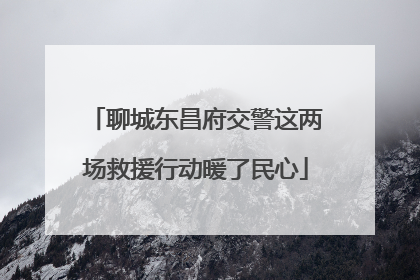 聊城东昌府交警这两场救援行动暖了民心