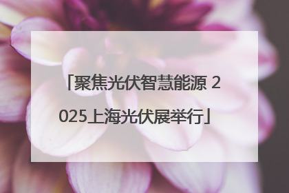 聚焦光伏智慧能源 2025上海光伏展举行