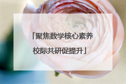 聚焦数学核心素养 校际共研促提升