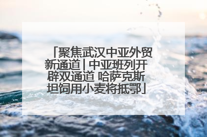 聚焦武汉中亚外贸新通道│中亚班列开辟双通道 哈萨克斯坦饲用小麦将抵鄂