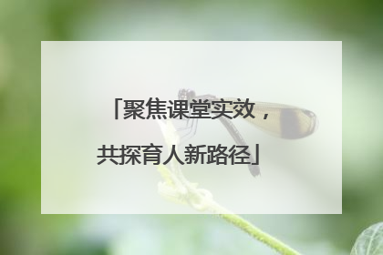 聚焦课堂实效，共探育人新路径