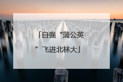自强“蒲公英”飞进北林大