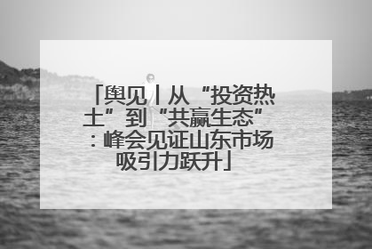 舆见丨从“投资热土”到“共赢生态”：峰会见证山东市场吸引力跃升