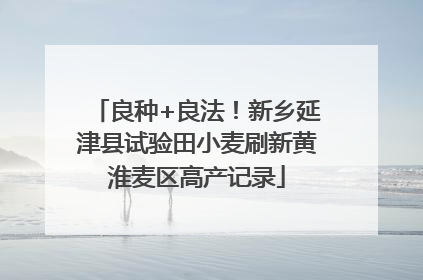 良种+良法！新乡延津县试验田小麦刷新黄淮麦区高产记录