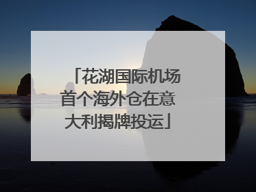 花湖国际机场首个海外仓在意大利揭牌投运
