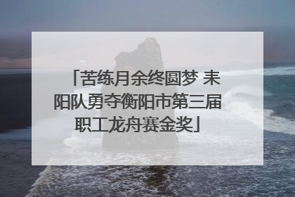 苦练月余终圆梦 耒阳队勇夺衡阳市第三届职工龙舟赛金奖