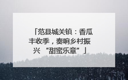 范县城关镇：香瓜丰收季，奏响乡村振兴 “甜蜜乐章”