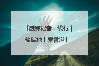 融媒记者一线行｜盐碱地上麦香溢