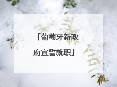 葡萄牙新政府宣誓就职
