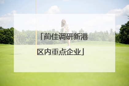 蔺佳调研新港区内重点企业
