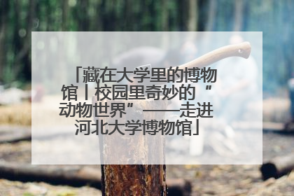 藏在大学里的博物馆丨校园里奇妙的“动物世界”——走进河北大学博物馆