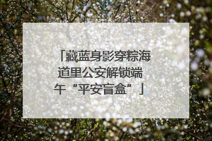 藏蓝身影穿粽海 道里公安解锁端午“平安盲盒”