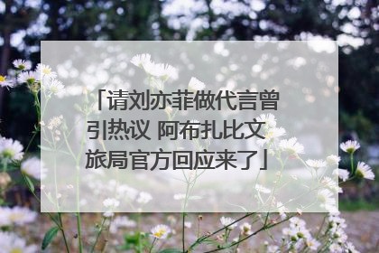 请刘亦菲做代言曾引热议 阿布扎比文旅局官方回应来了