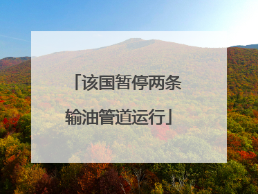 该国暂停两条输油管道运行