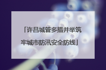 许昌城管多措并举筑牢城市防汛安全防线