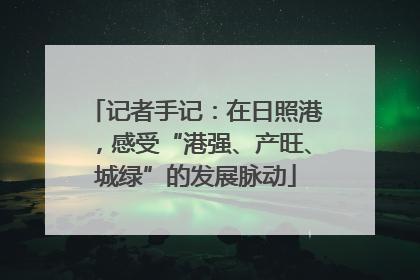 记者手记：在日照港，感受“港强、产旺、城绿”的发展脉动