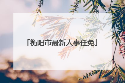 衡阳市最新人事任免