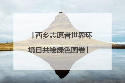 西乡志愿者世界环境日共绘绿色画卷