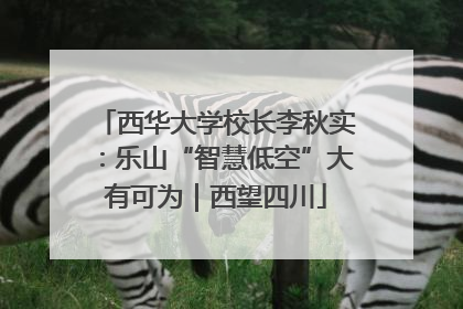 西华大学校长李秋实：乐山“智慧低空”大有可为｜西望四川