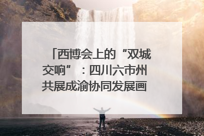 西博会上的“双城交响”：四川六市州共展成渝协同发展画卷｜西博视界