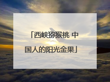 西峡猕猴桃 中国人的阳光金果
