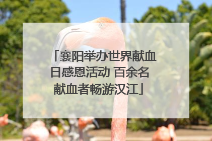 襄阳举办世界献血日感恩活动 百余名献血者畅游汉江