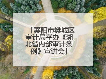 襄阳市樊城区审计局举办《湖北省内部审计条例》宣讲会