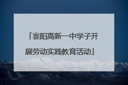 襄阳高新一中学子开展劳动实践教育活动
