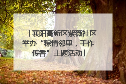 襄阳高新区紫薇社区举办“粽情邻里，手作传香”主题活动
