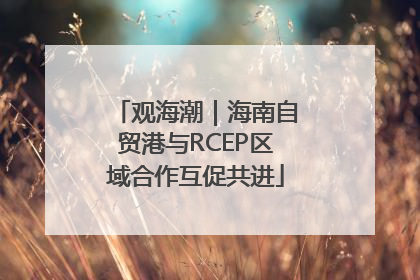 观海潮｜海南自贸港与RCEP区域合作互促共进