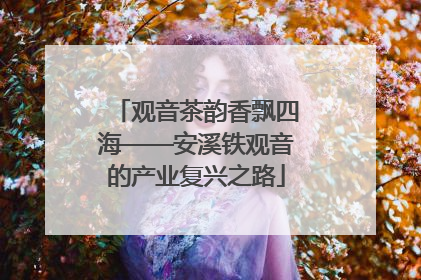 观音茶韵香飘四海——安溪铁观音的产业复兴之路