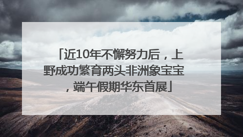 近10年不懈努力后，上野成功繁育两头非洲象宝宝，端午假期华东首展