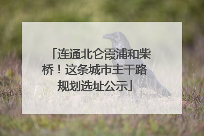 连通北仑霞浦和柴桥！这条城市主干路规划选址公示