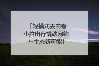 轻模式去内卷 小拉出行撬动网约车生态新可能