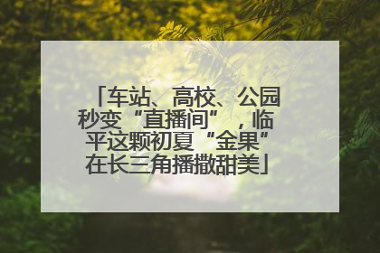 车站、高校、公园秒变“直播间”，临平这颗初夏“金果”在长三角播撒甜美