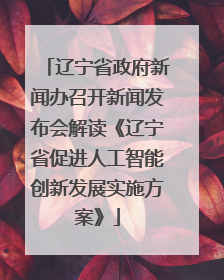 辽宁省政府新闻办召开新闻发布会解读《辽宁省促进人工智能创新发展实施方案》